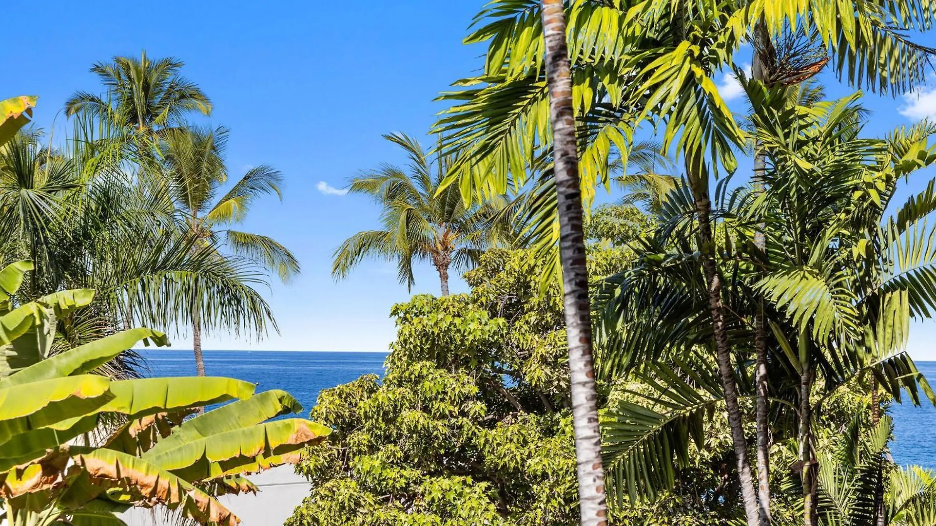Apartamento Ocean View With Loft Kailua-Kona 0*,  Estados Unidos